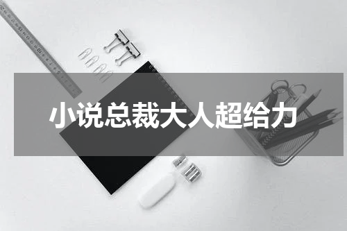 小说总裁大人超给力