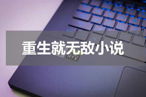 重生就无敌小说