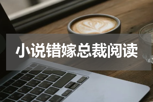 小说错嫁总裁阅读