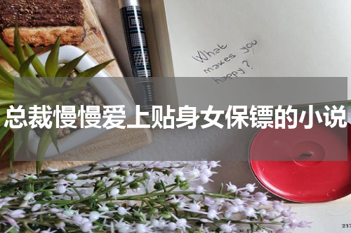总裁慢慢爱上贴身女保镖的小说
