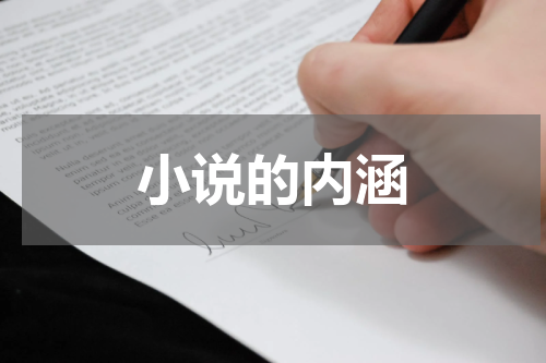 小说的内涵