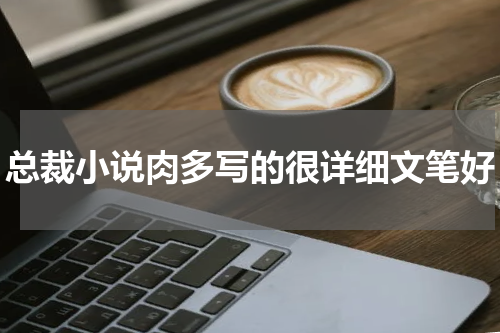 总裁小说肉多写的很详细文笔好