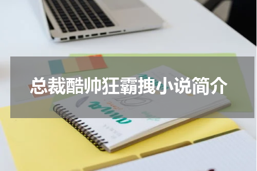 总裁酷帅狂霸拽小说简介