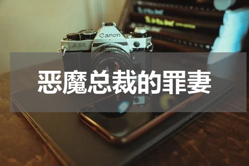 恶魔总裁的罪妻