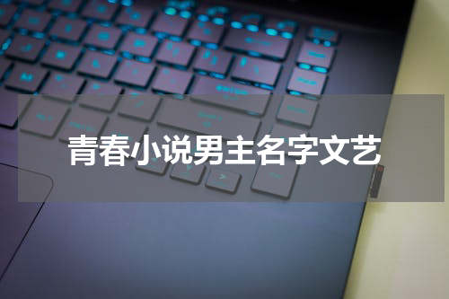 青春小说男主名字文艺