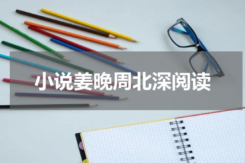 小说姜晚周北深阅读