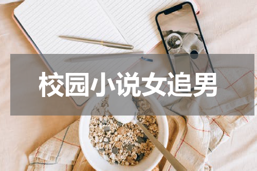 校园小说女追男