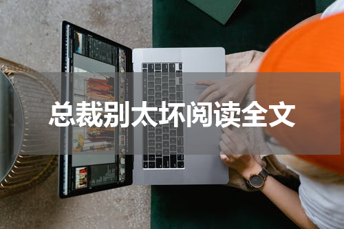 总裁别太坏阅读全文