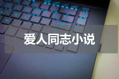 爱人同志小说