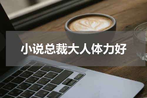 小说总裁大人体力好