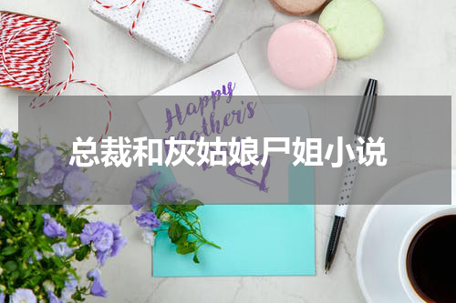 总裁和灰姑娘尸姐小说