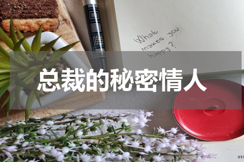总裁的秘密情人