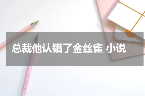 总裁他认错了金丝雀 小说