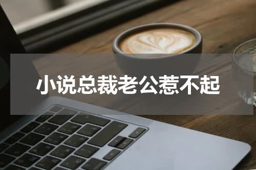 小说总裁老公惹不起