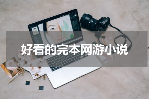 好看的完本网游小说