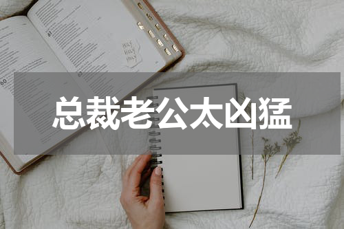 总裁老公太凶猛