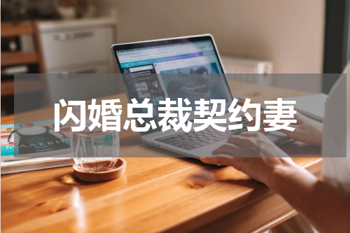 闪婚总裁契约妻