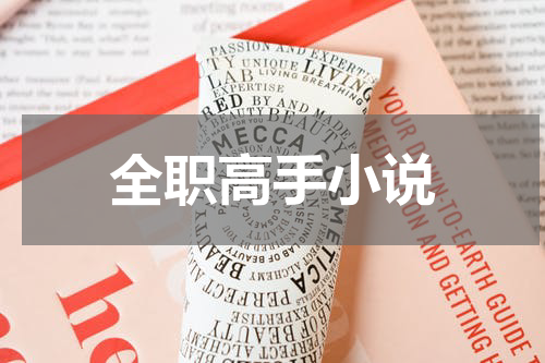 全职高手小说