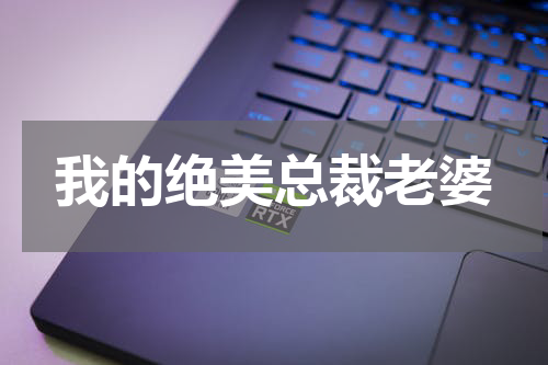 我的绝美总裁老婆