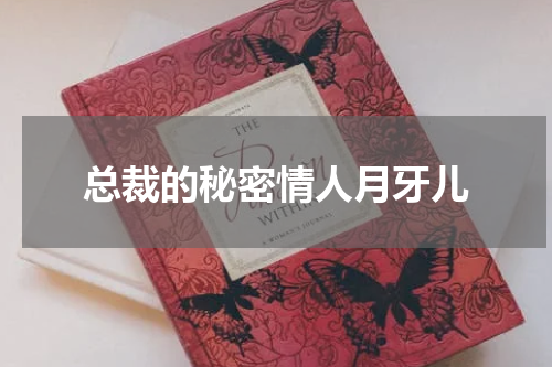 总裁的秘密情人月牙儿