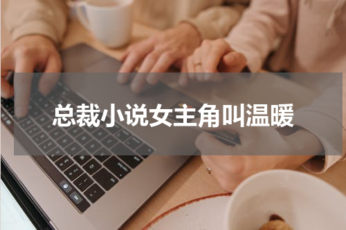 总裁小说女主角叫温暖