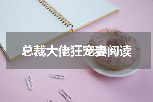 总裁大佬狂宠妻阅读