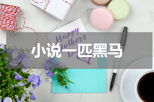 小说一匹黑马