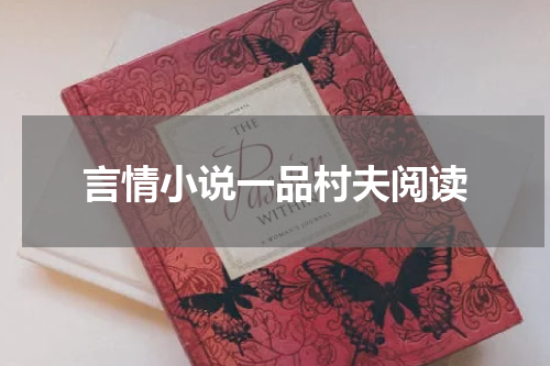 言情小说一品村夫阅读