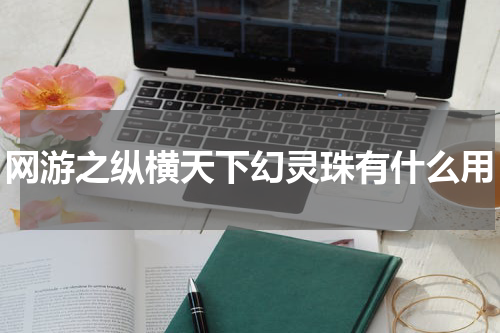 网游之纵横天下幻灵珠有什么用