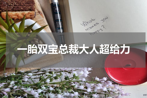 一胎双宝总裁大人超给力