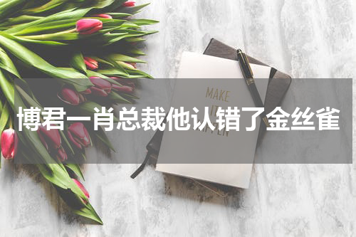 博君一肖总裁他认错了金丝雀