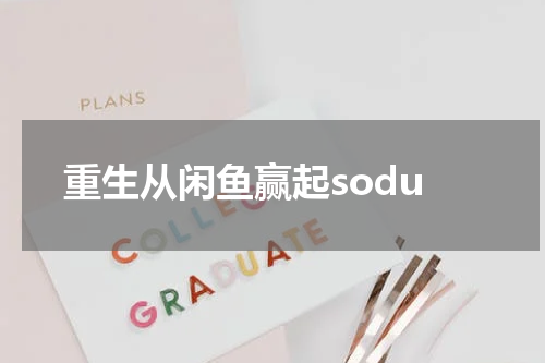 重生从闲鱼赢起sodu