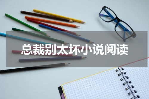总裁别太坏小说阅读