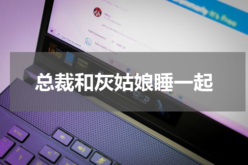 总裁和灰姑娘睡一起