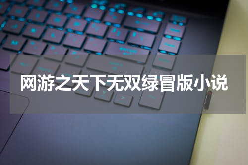 网游之天下无双绿冒版小说