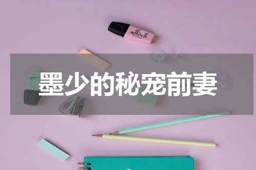 墨少的秘宠前妻
