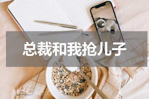 总裁和我抢儿子