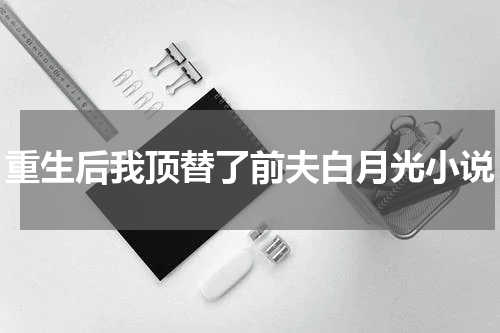重生后我顶替了前夫白月光小说
