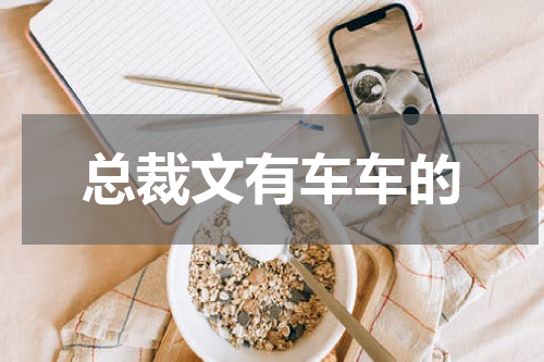 总裁文有车车的