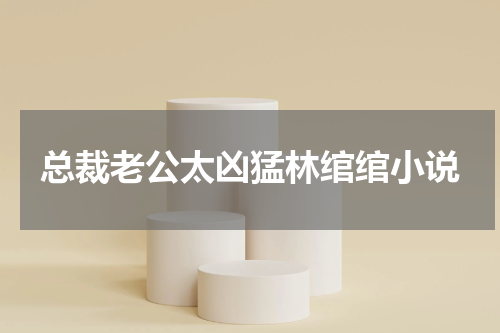 总裁老公太凶猛林绾绾小说