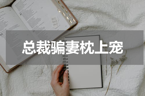 总裁骗妻枕上宠