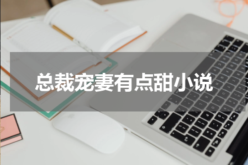 总裁宠妻有点甜小说