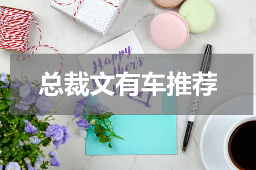 总裁文有车推荐