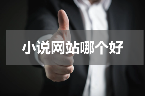 小说网站哪个好