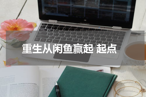 重生从闲鱼赢起 起点