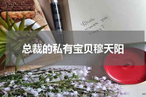 总裁的私有宝贝穆天阳
