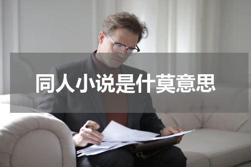 同人小说是什莫意思