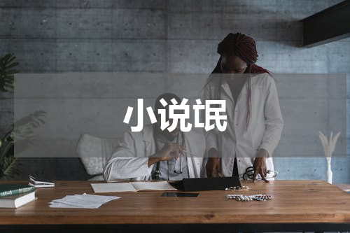 小说氓