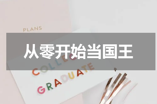 从零开始当国王