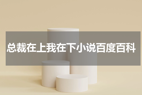 总裁在上我在下小说百度百科